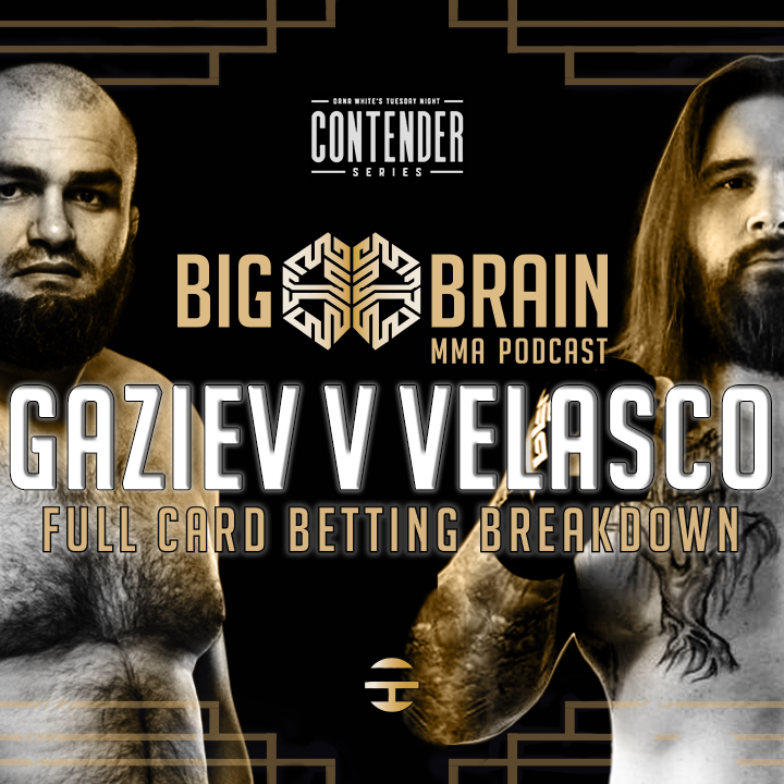 Big Brain MMA Podcast