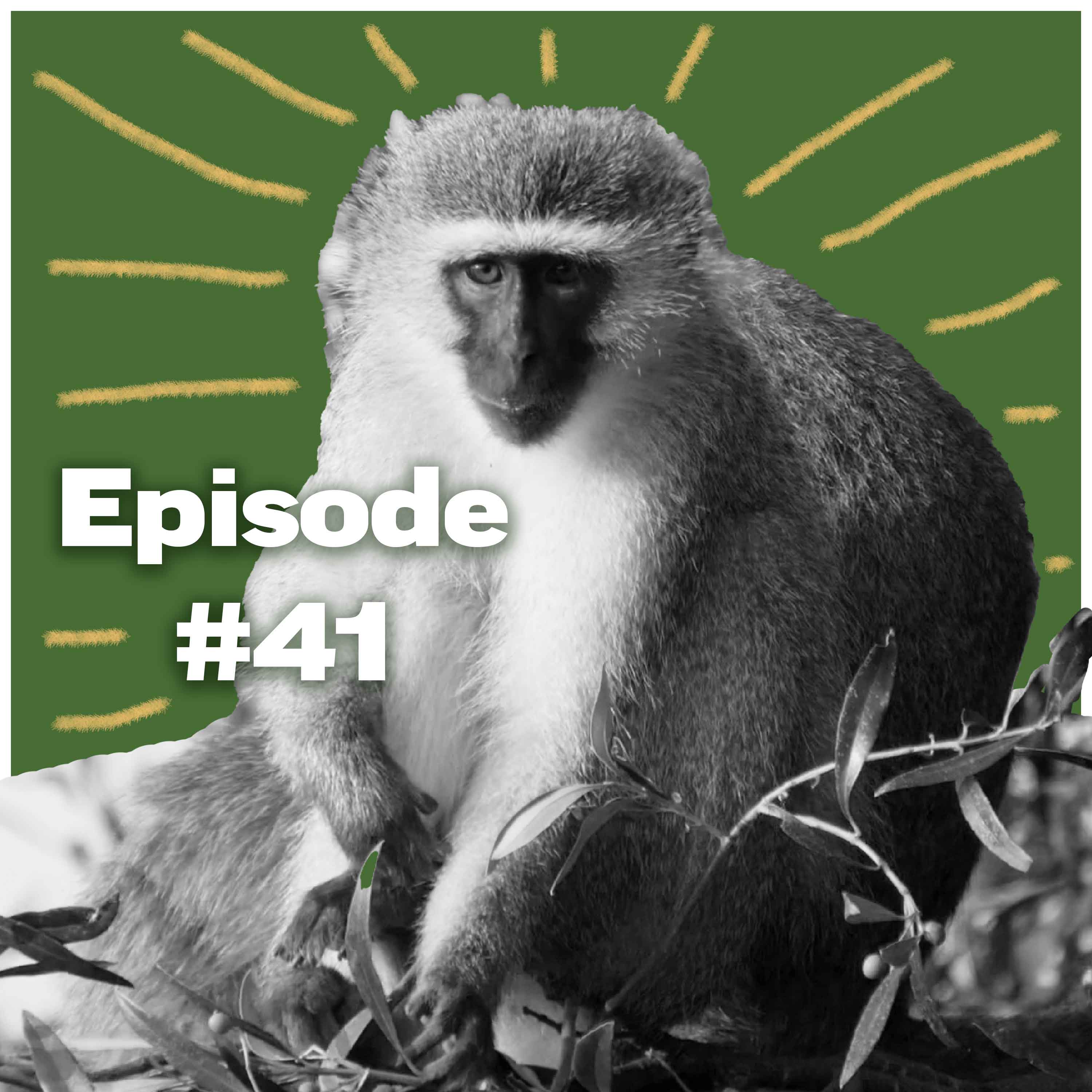 FieldsportsChannel\'s Podcast