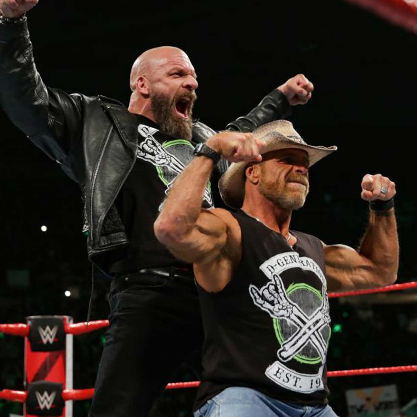Wrestleview Media