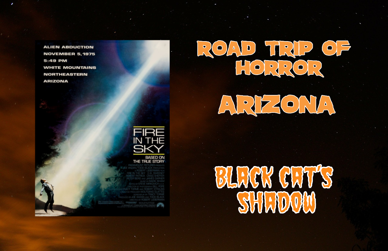 Black Cat\'s Shadow
