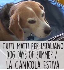 Tutti Matti per l\'Italiano!
