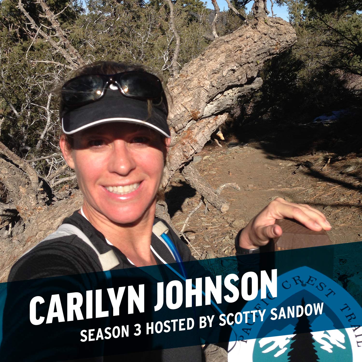 Carilyn Johnson