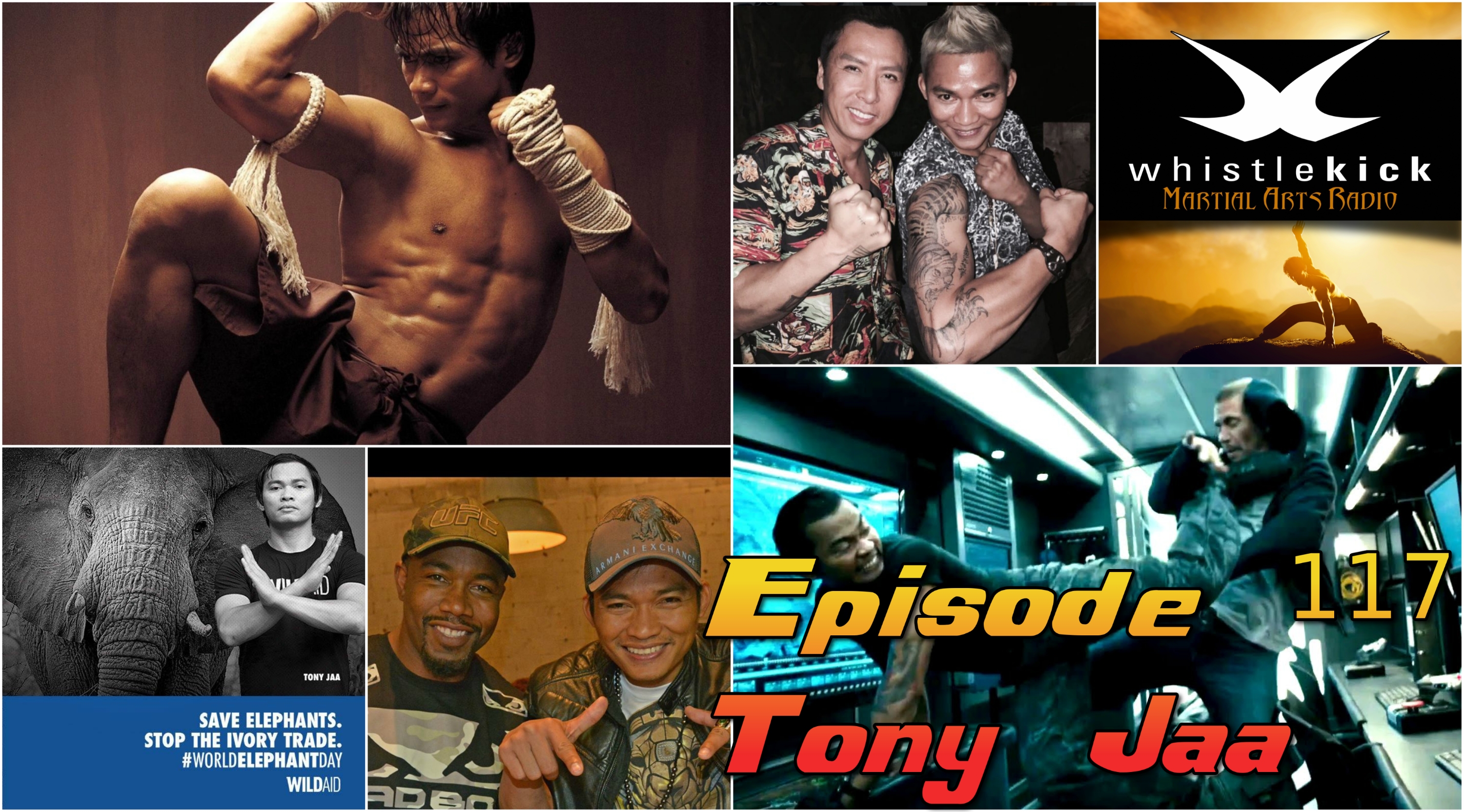 whistlekick Martial Arts Radio