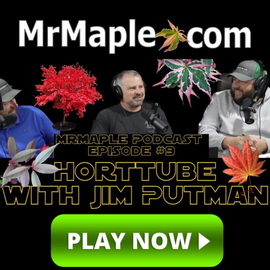 Gardening with Jim Putnam of HortTube | Plants & Gardening Japanese Maples | Plant & Garden Guru