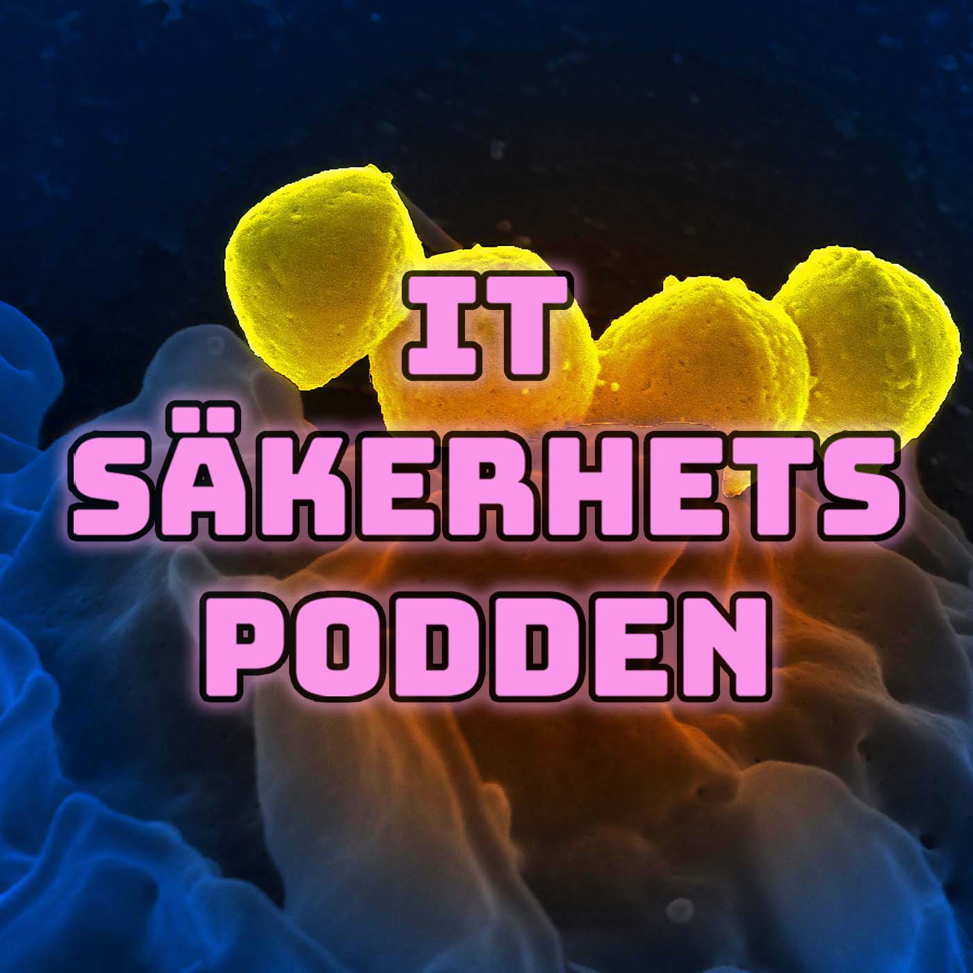 IT-säkerhetspodden