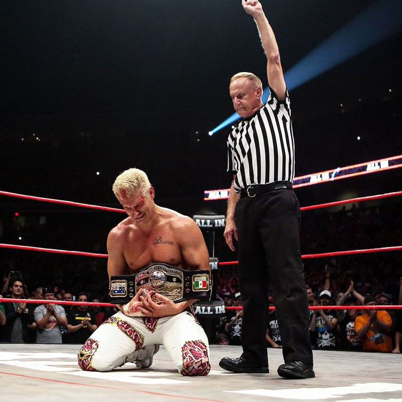 Wrestleview Media