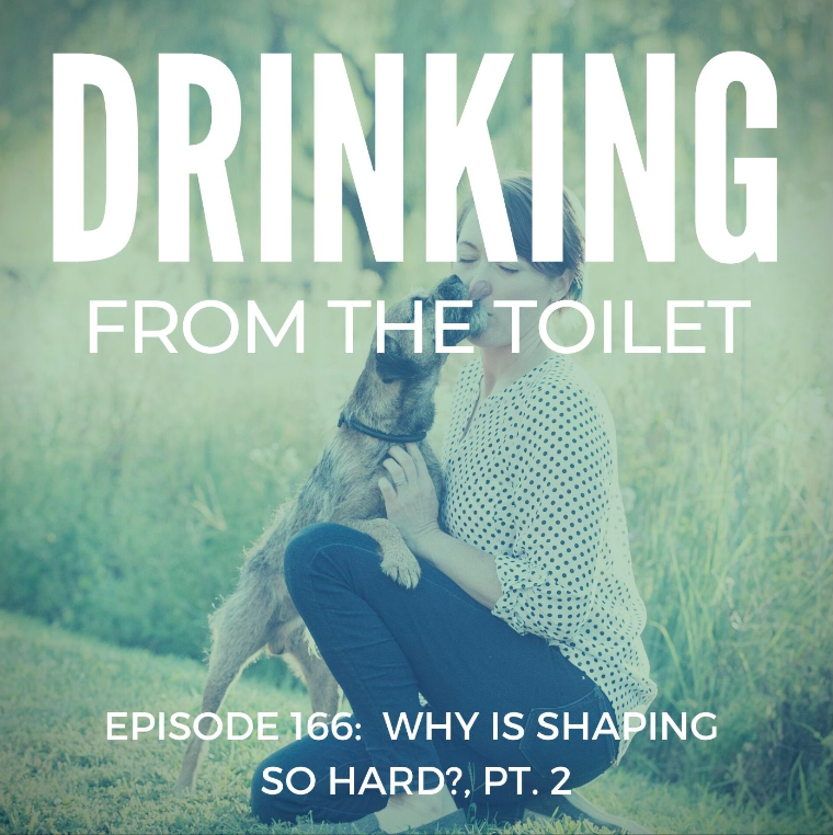 #166: Why is Shaping So Hard?, Pt. 2