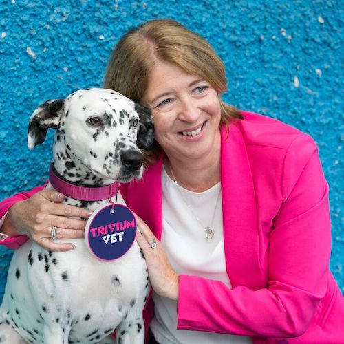 "If we have to pay for this dinner we don't have it" "If we have to pay for this dinner we don't have it"