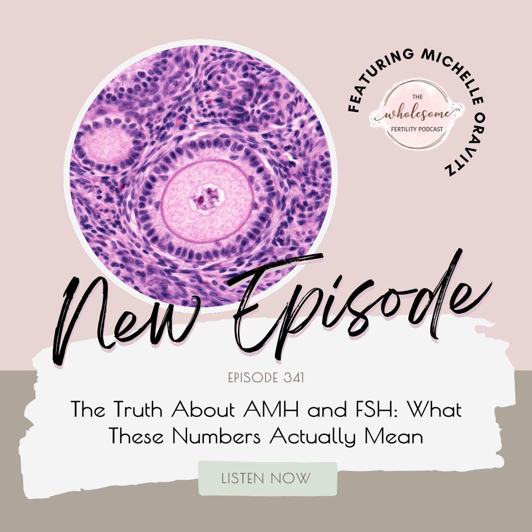 Ep 341 The Truth About AMH and FSH: What These Numbers Actually Mean