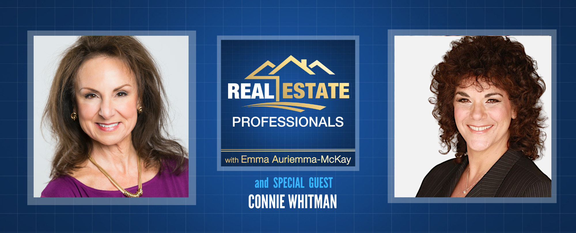 Real Estate Professionals - Property Sales Tactics for Realtors