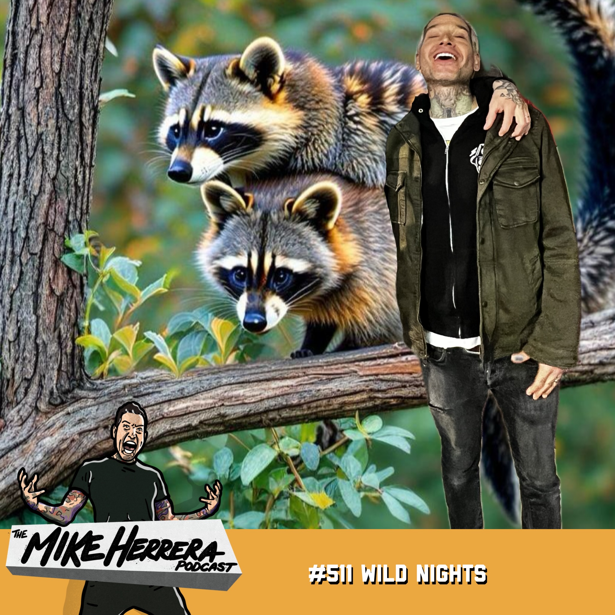 The Mike Herrera Podcast
