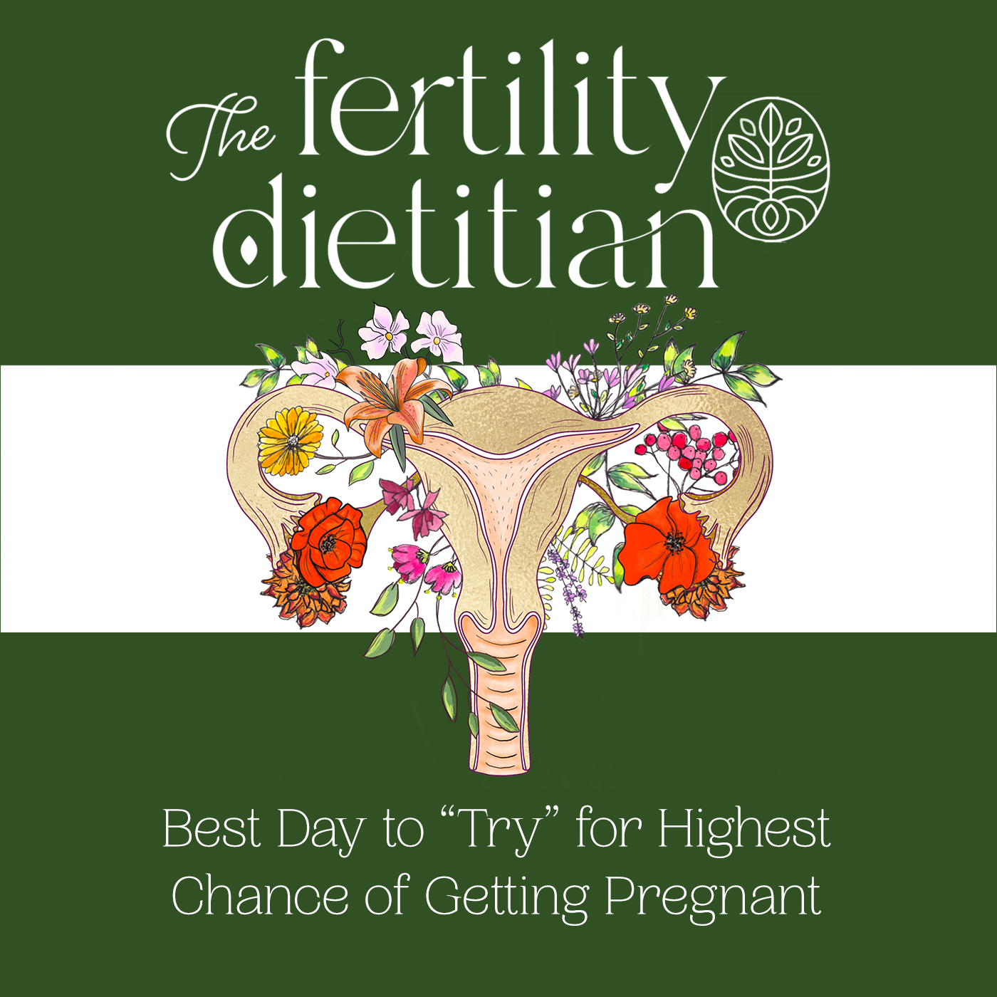 The Fertility Dietitian | Functional Fertility Info in your Ears