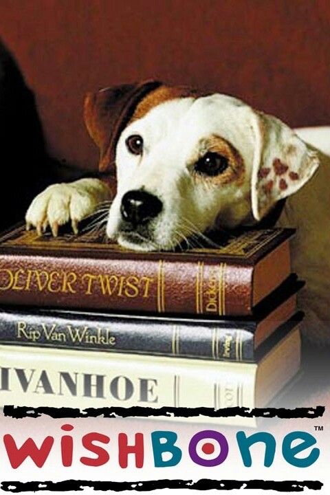 PREVIEW - For The Kids #8: Wishbone