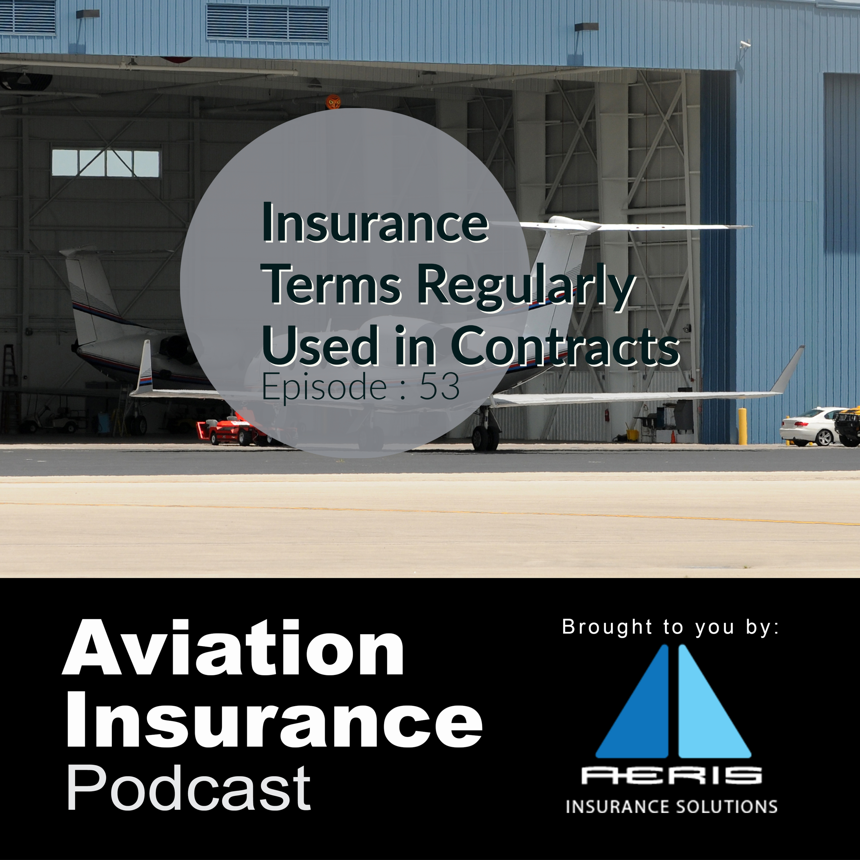 Episode 53: Insurance Terms Regularly Used in Contracts