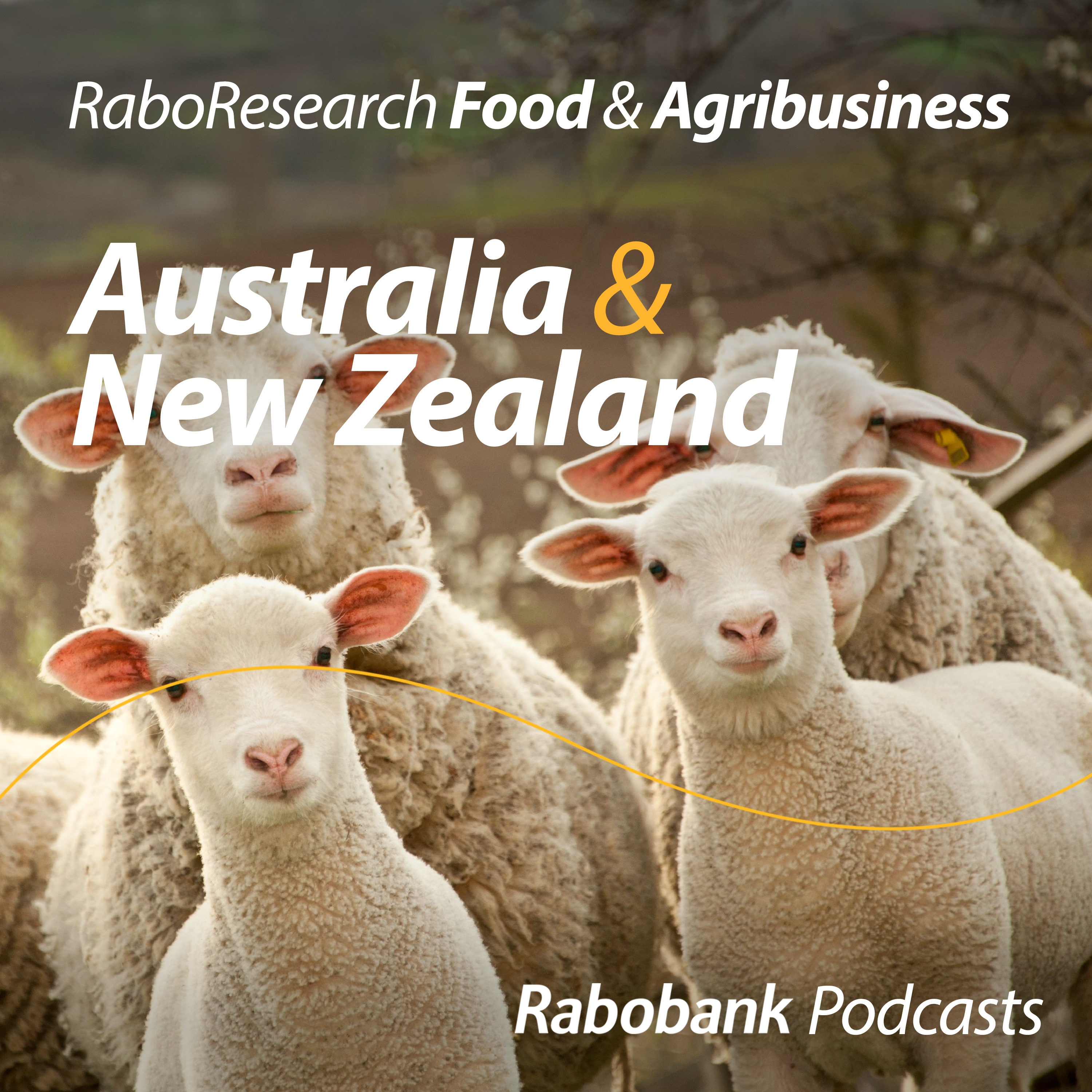 Easter lamb feast – Australian and New Zealand lamb market update