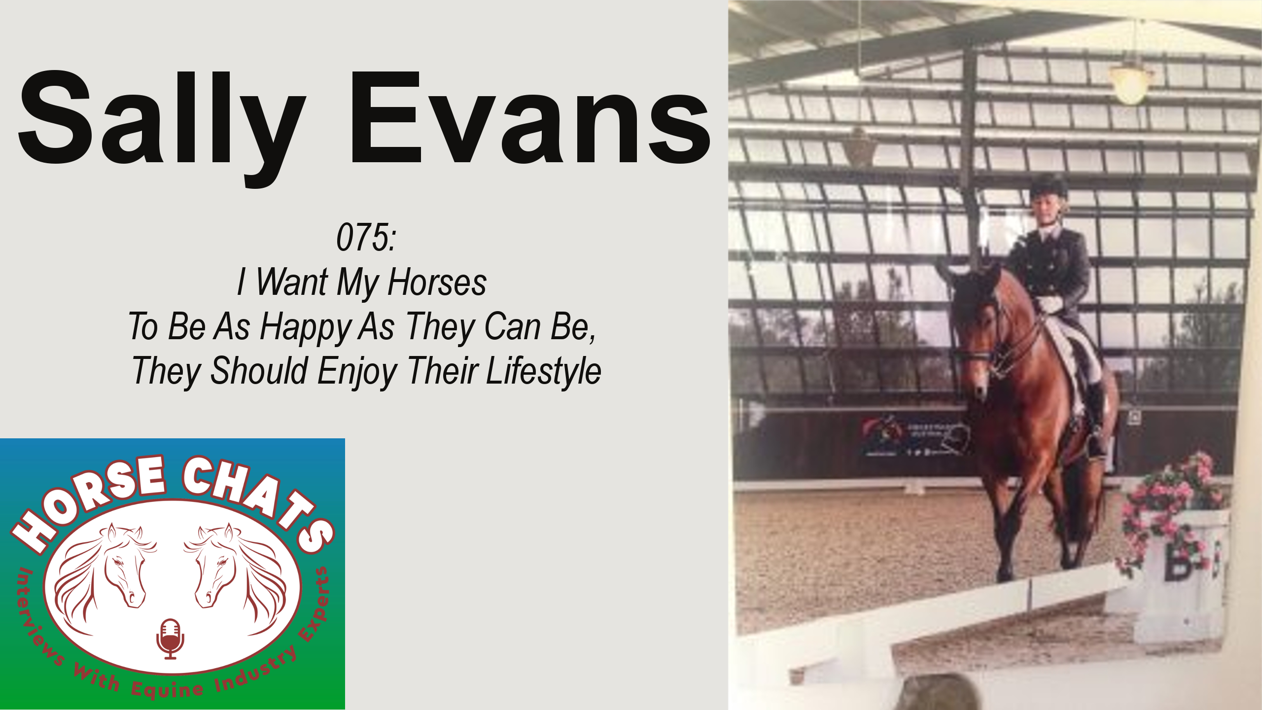 0075: Sally Evans - I Want My Horses To Be As Happy As They Can Be, They Should Enjoy Their Lifestyle