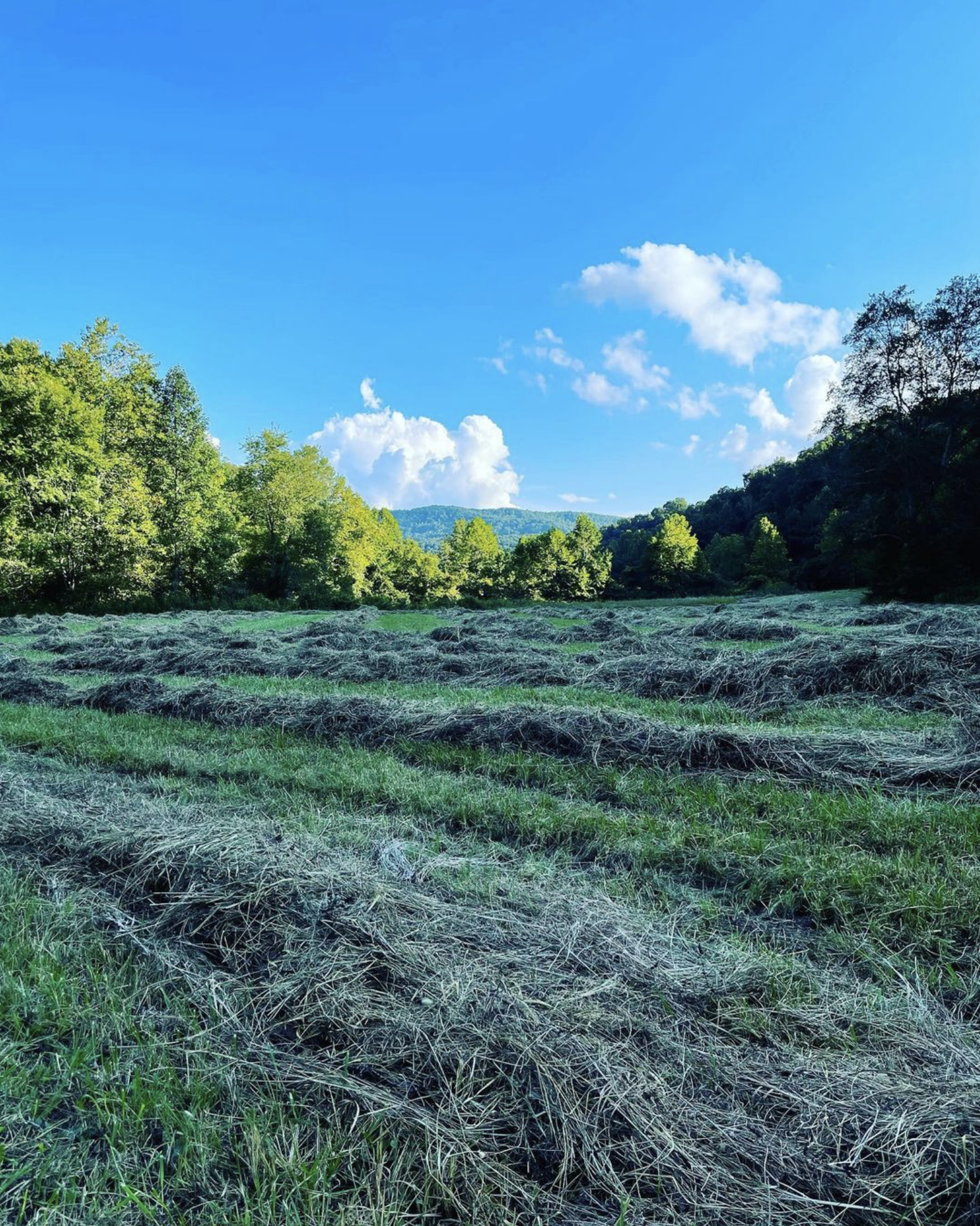 Off-Farm Income