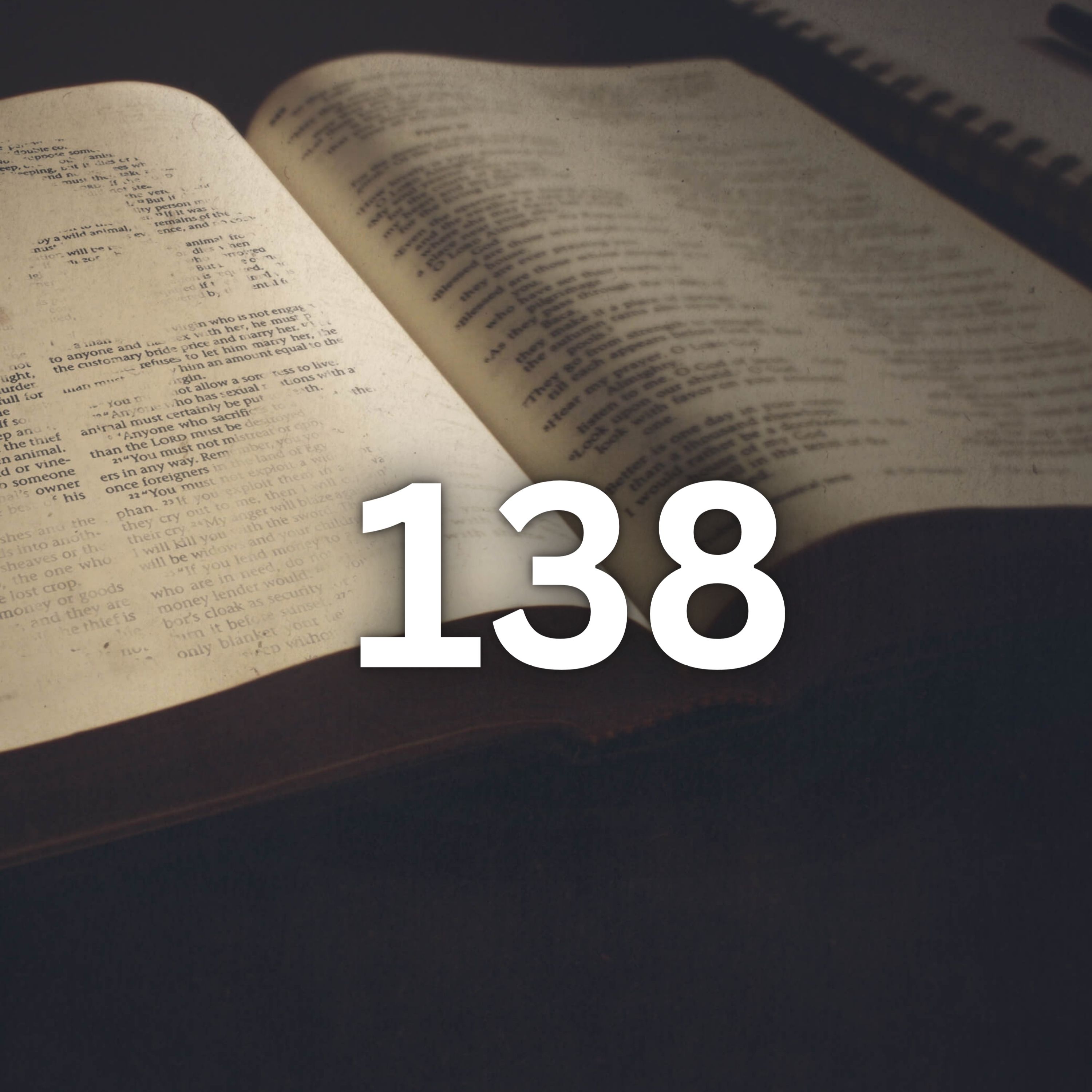 Walking With The Word | The Bible In 365