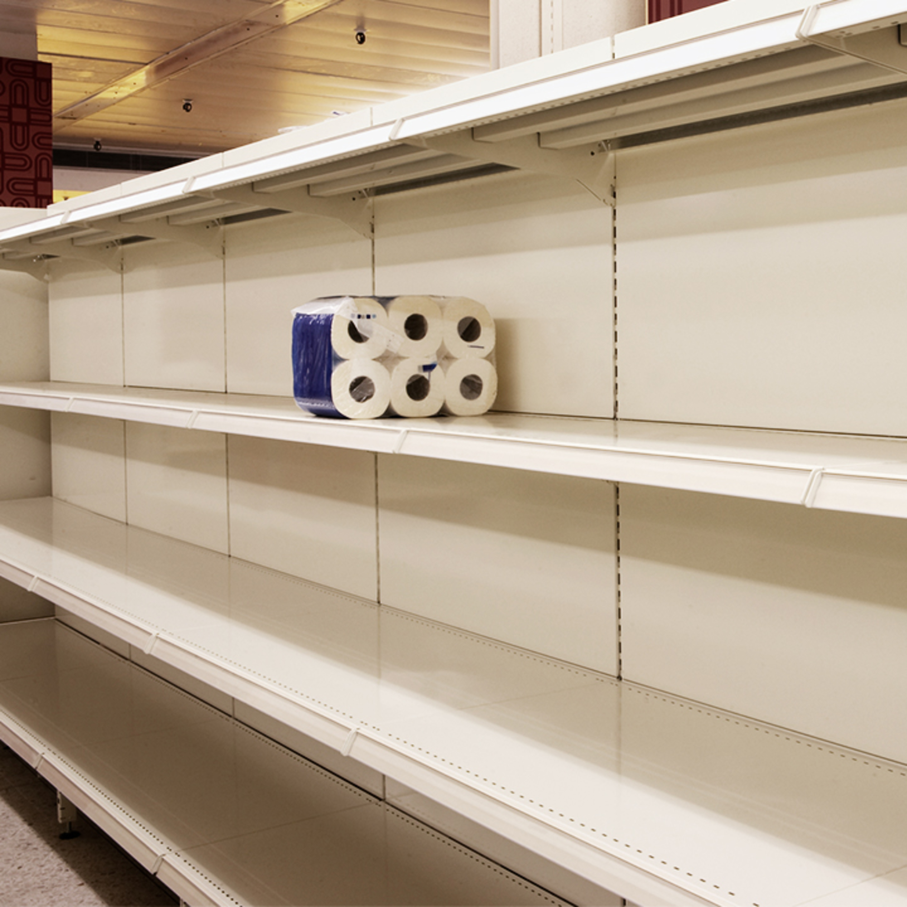 2nd Wave Toilet Paper Shortage [Stock Market Trades]