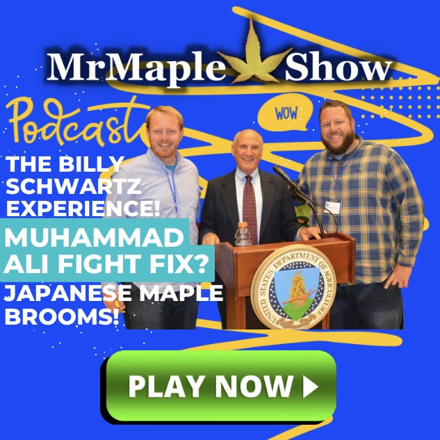 The Billy Schwartz Experience! Muhammad Ali Fight Fix? & Japanese Maple Brooms! MrMaple Podcast #26