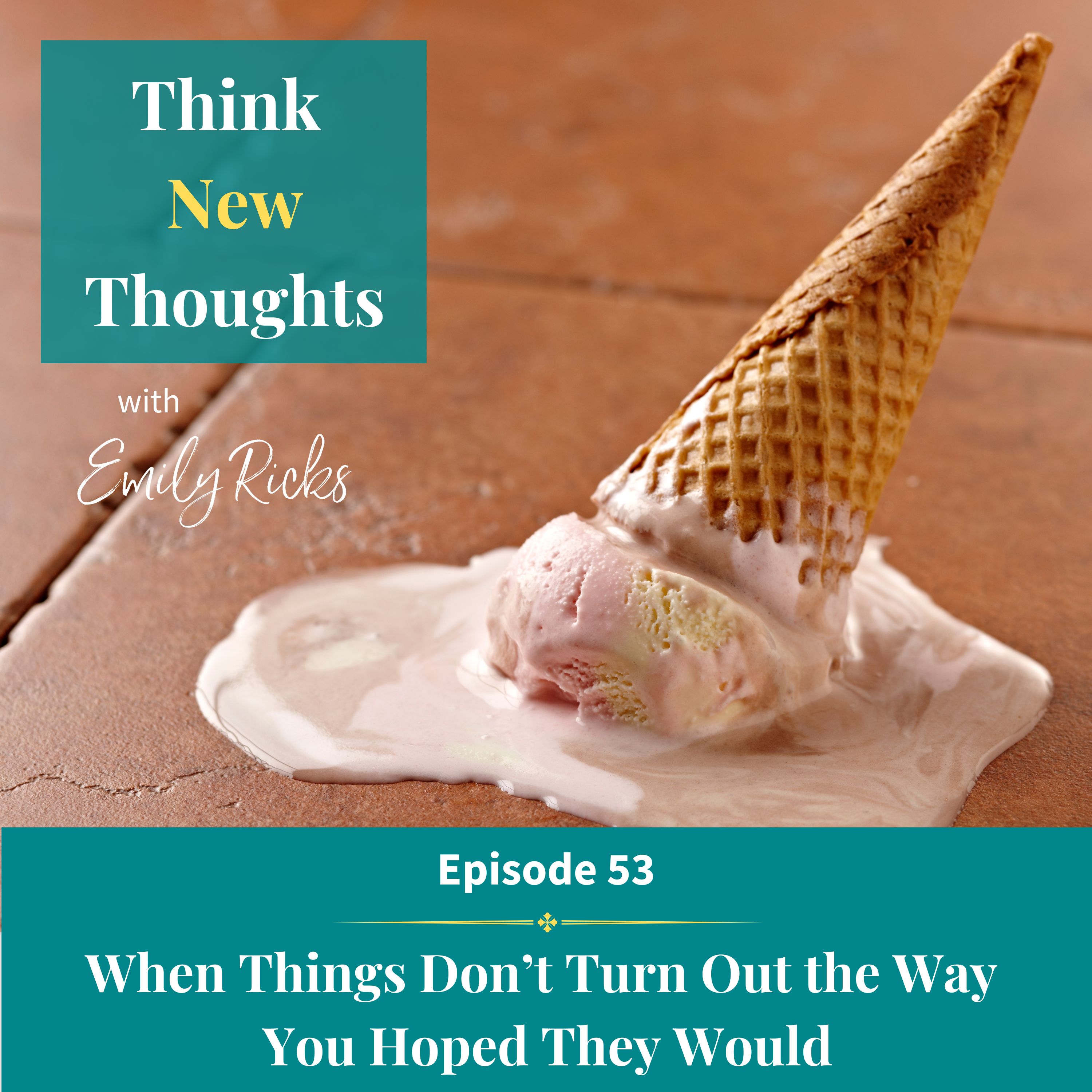 Ep 53:  When Things Don't Go the Way You Hoped They Would
