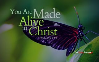 The Daily Promise