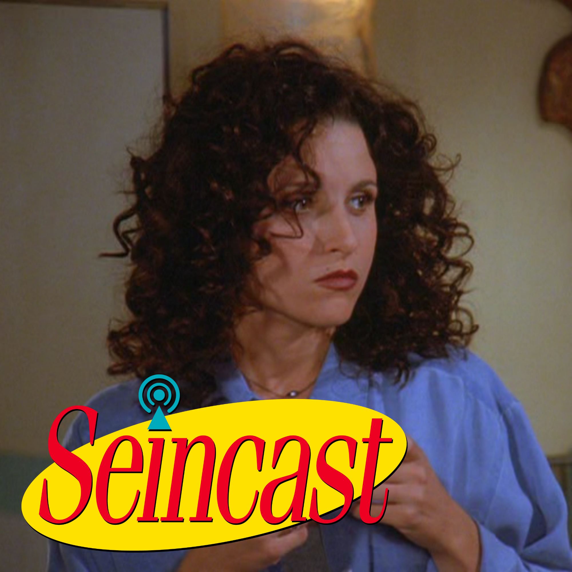 cover of episode Seincast 119 - The Sponge