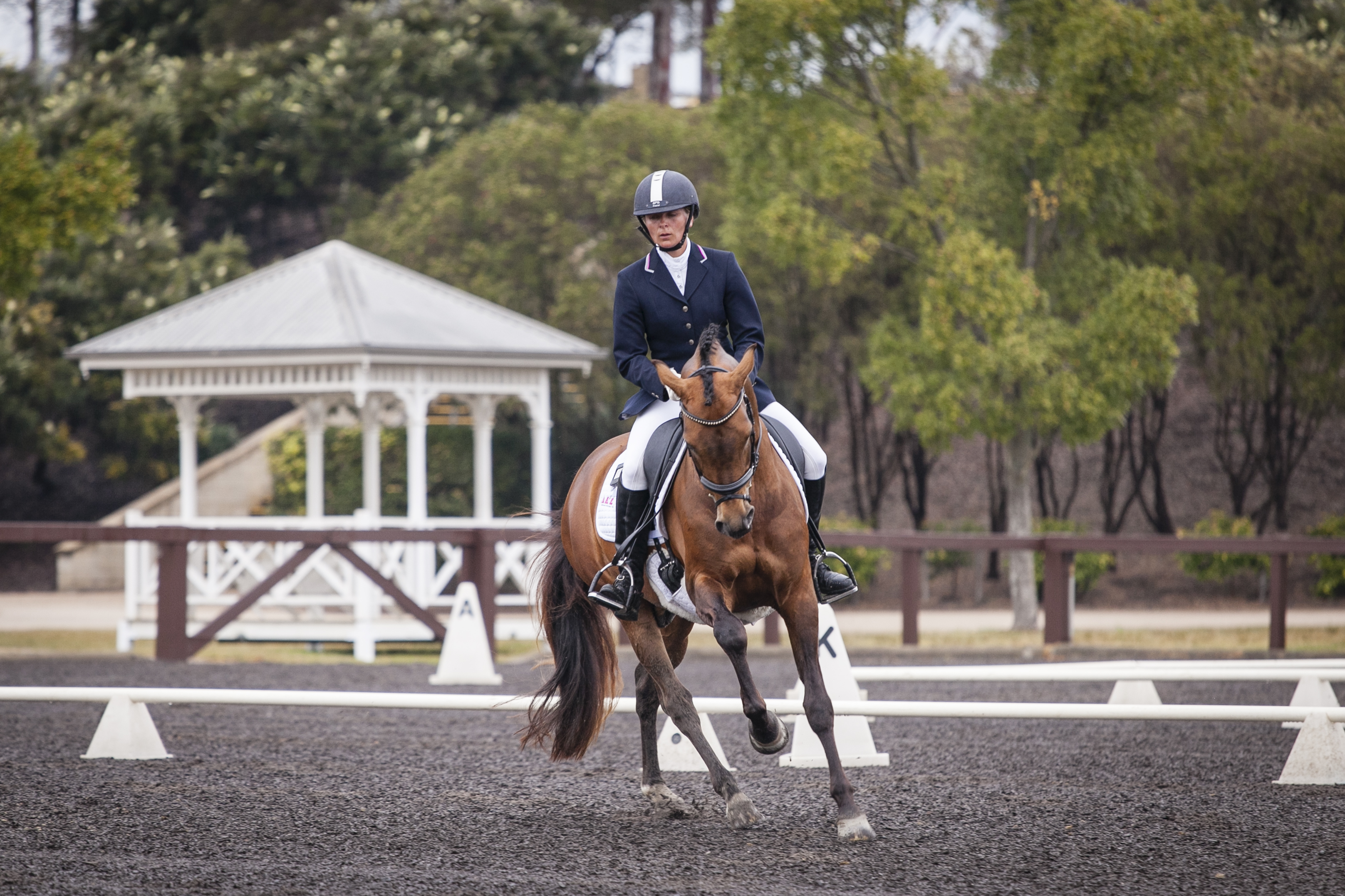 0165: Anne-Katrin Liebe - Achieving a Harmonic Dialog with Horses