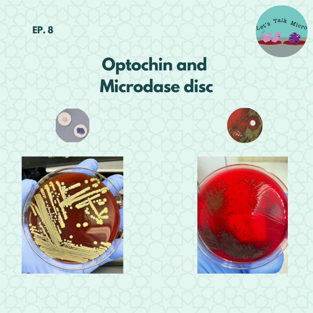 Optochin and Microdase disk