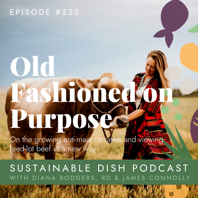 cover of episode Old Fashioned on Purpose Interview with Diana