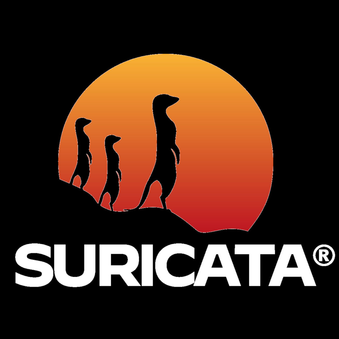 All about Suricata with Victor Julien All about Suricata with Victor Julien