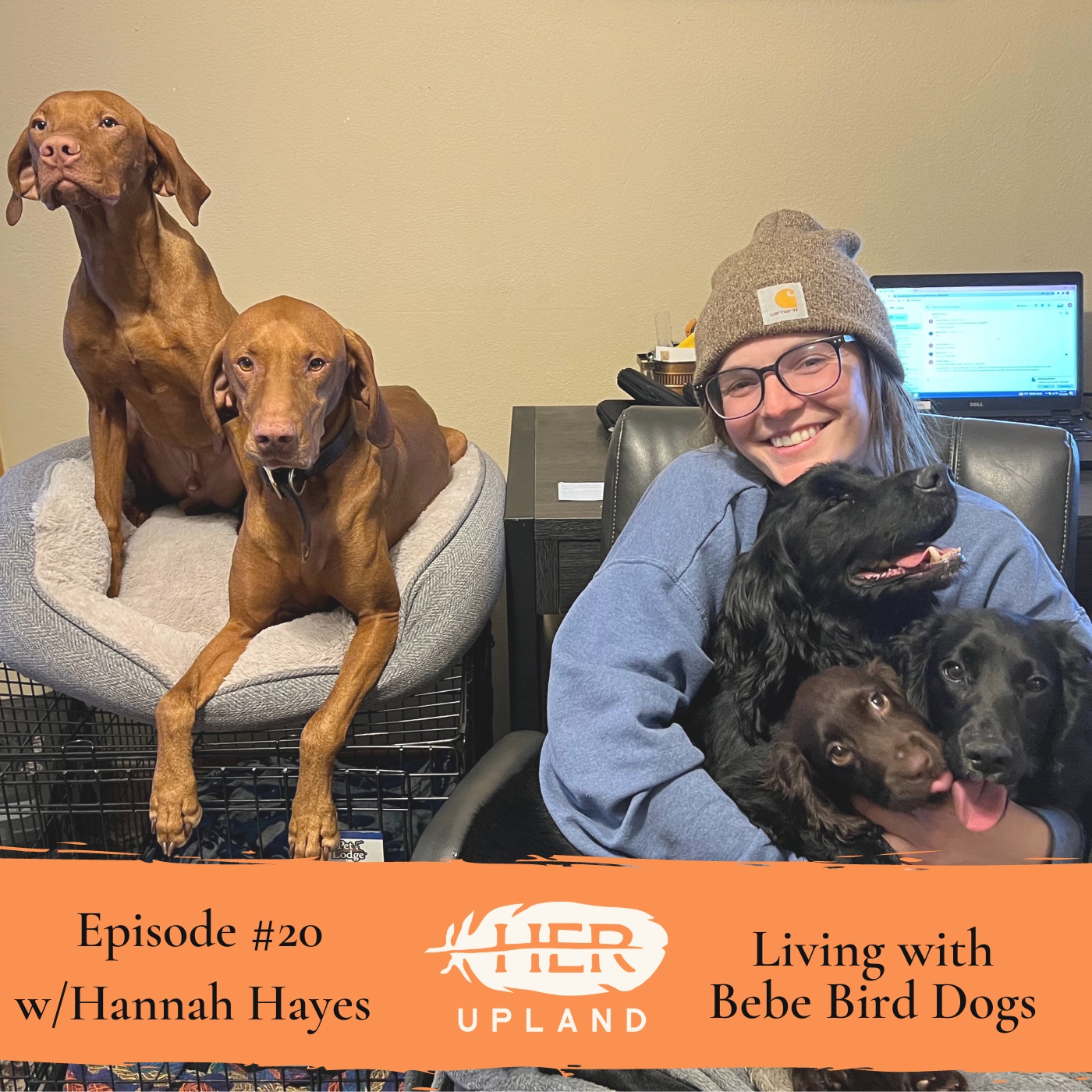 #20| Living With Bebe Bird Dogs