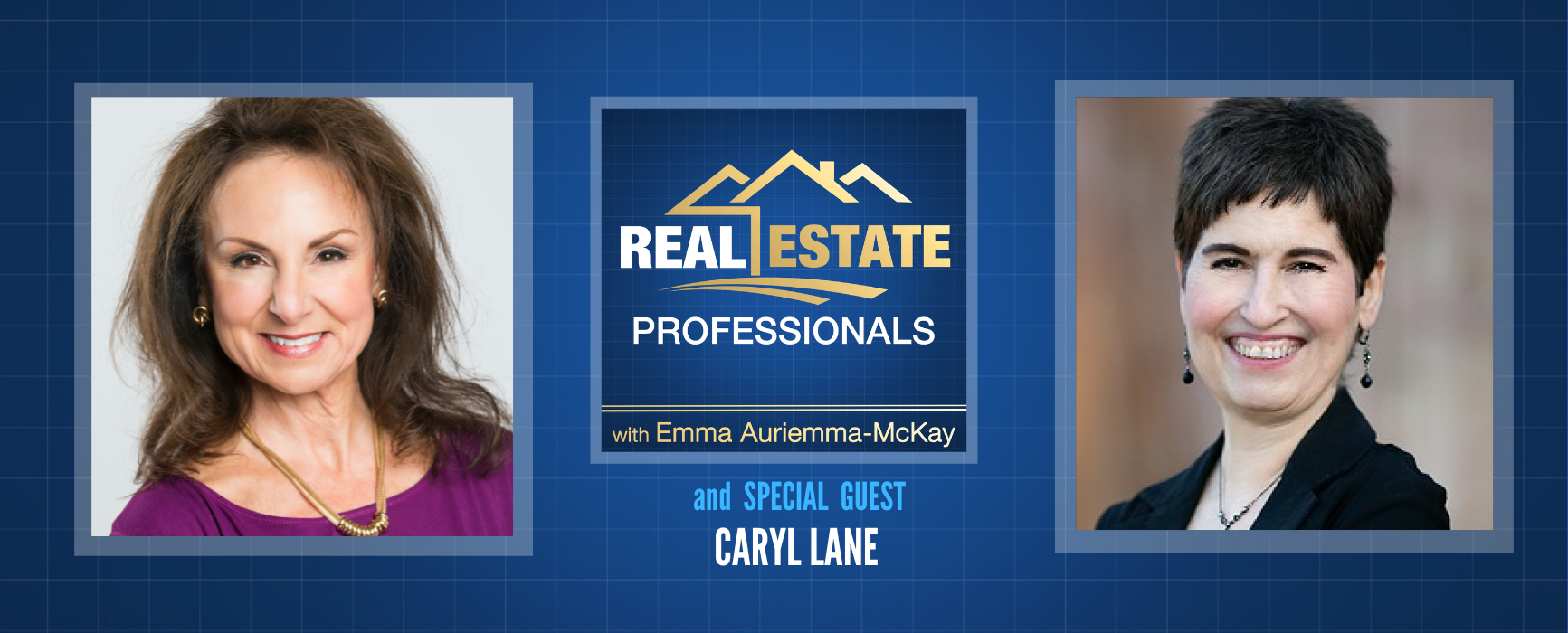 Real Estate Professionals - Property Sales Tactics for Realtors