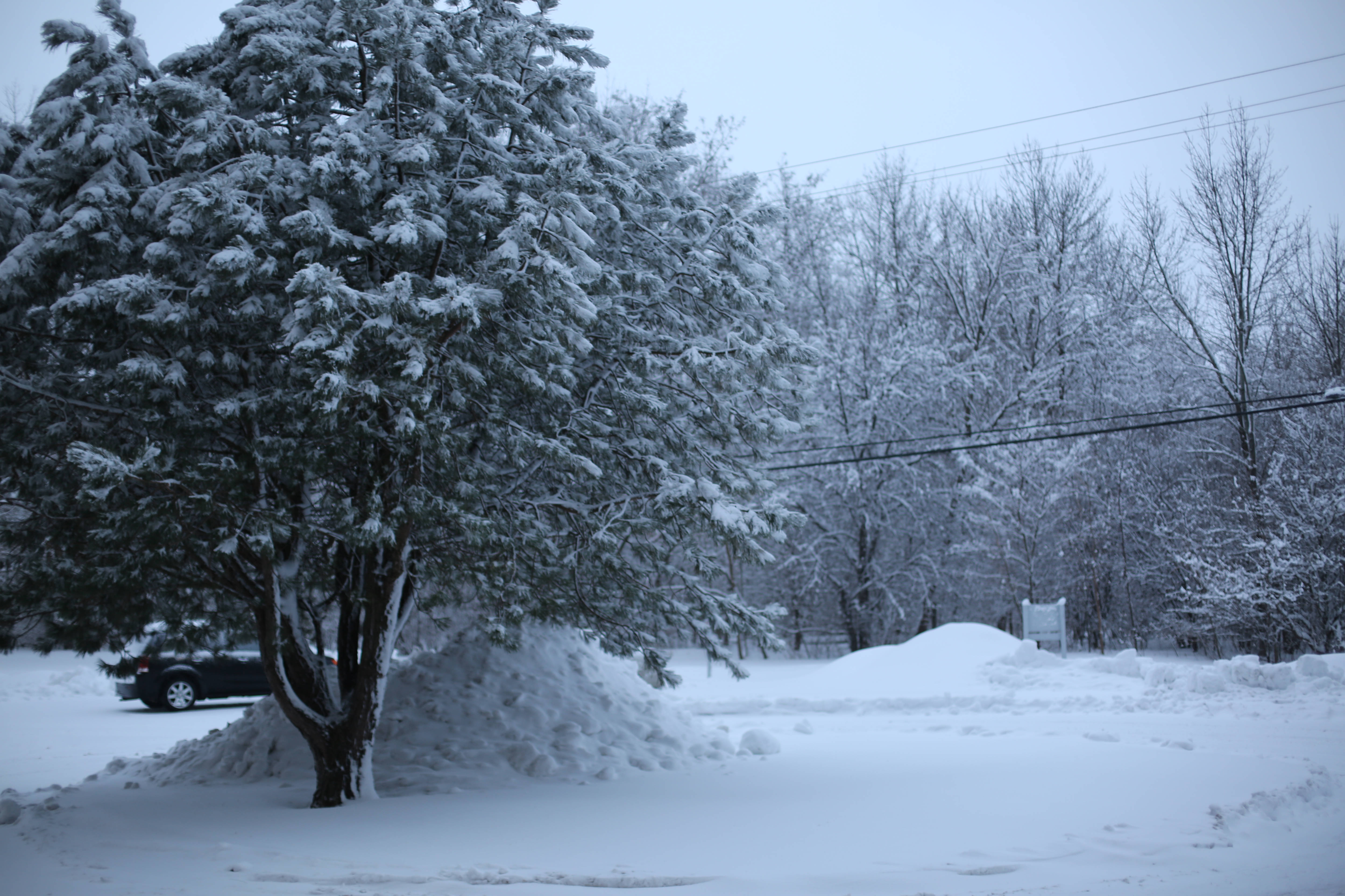 TWK Trucking with kingfish