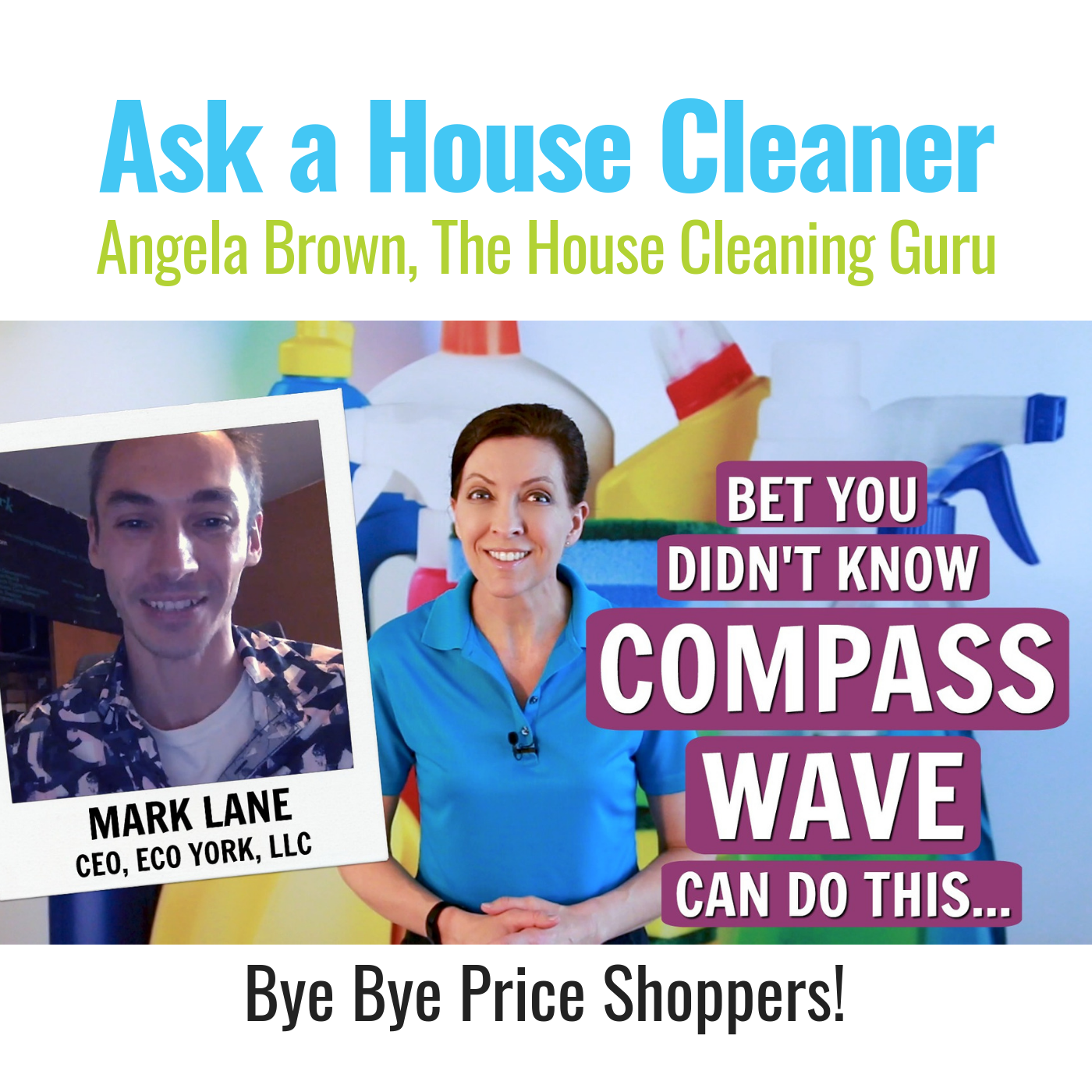 Ask a House Cleaner
