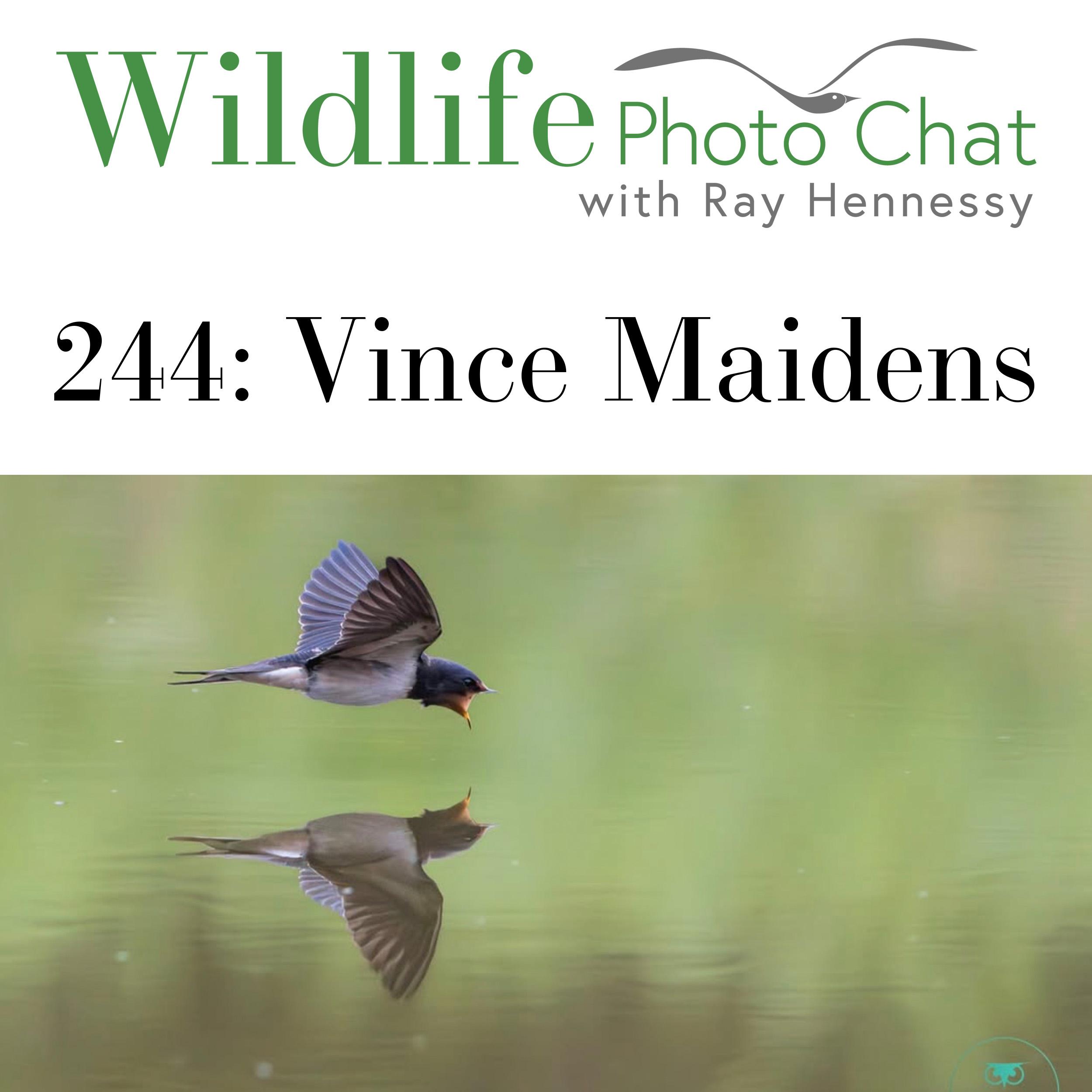 244: Vince Maidens