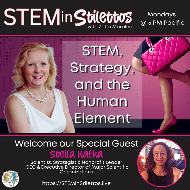 STEM, Strategy, and the Human Element
