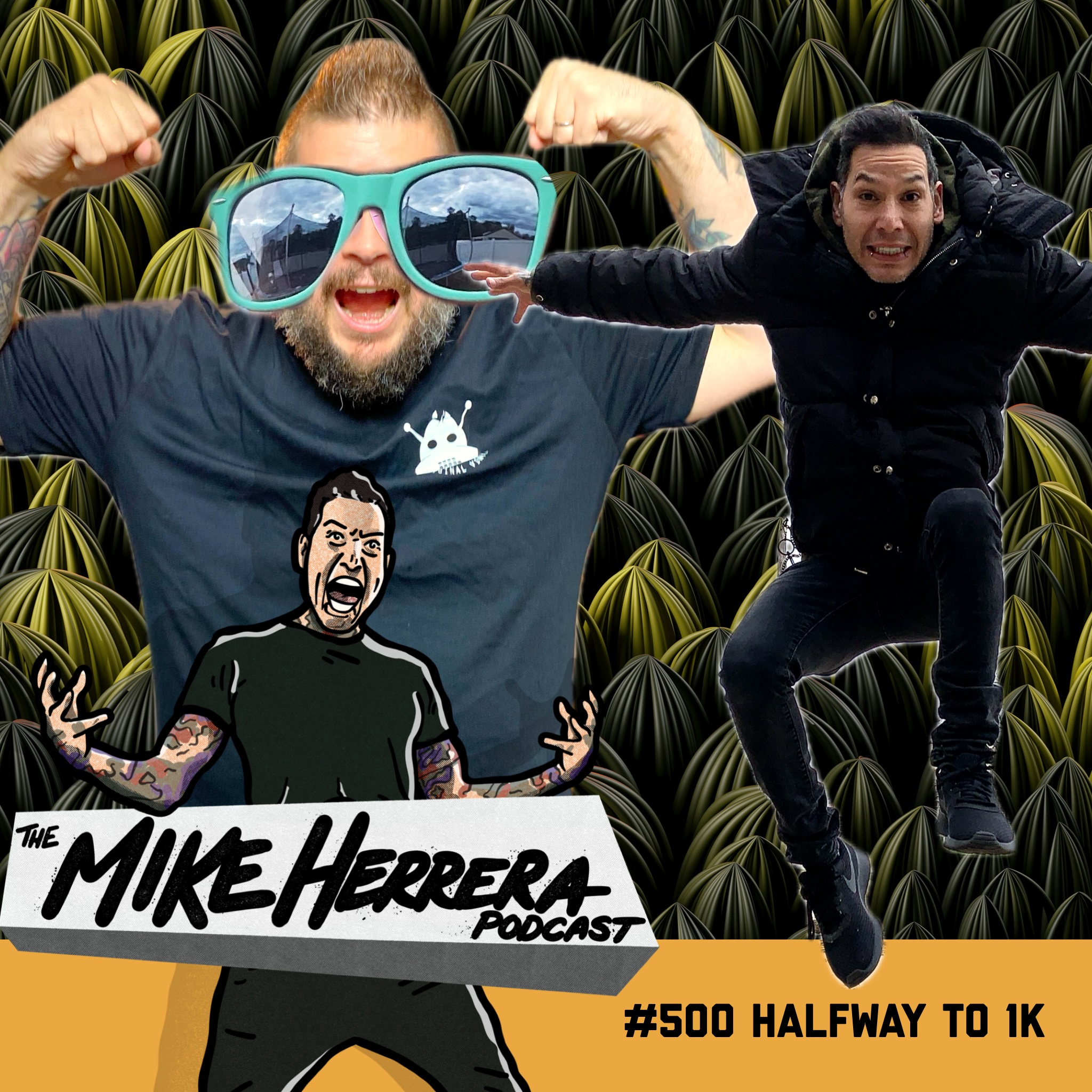 The Mike Herrera Podcast