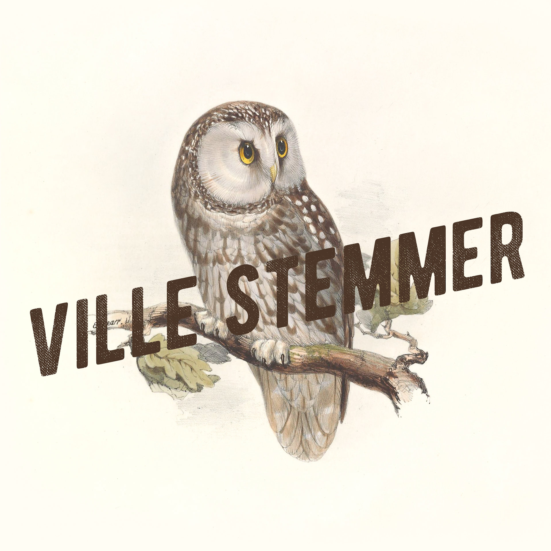 Ville stemmer