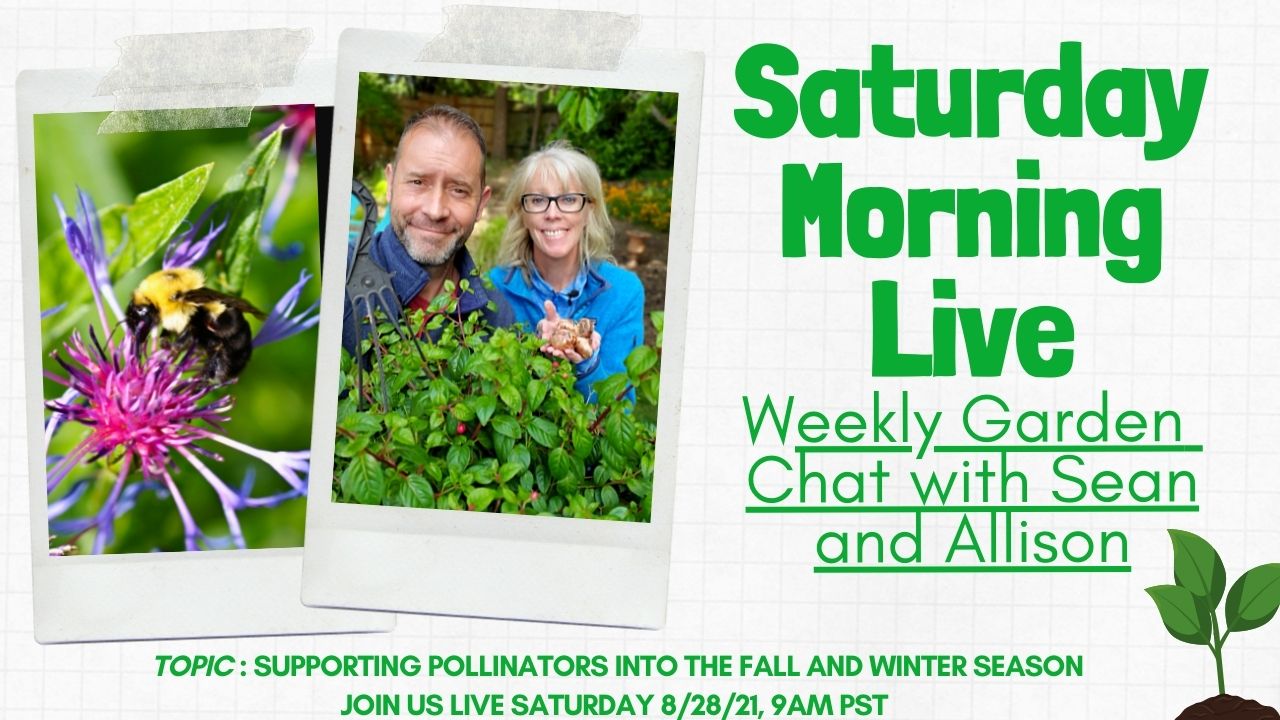 How to Support Pollinators into Fall and Winter - Saturday Morning LIVE - 8-28-2021
