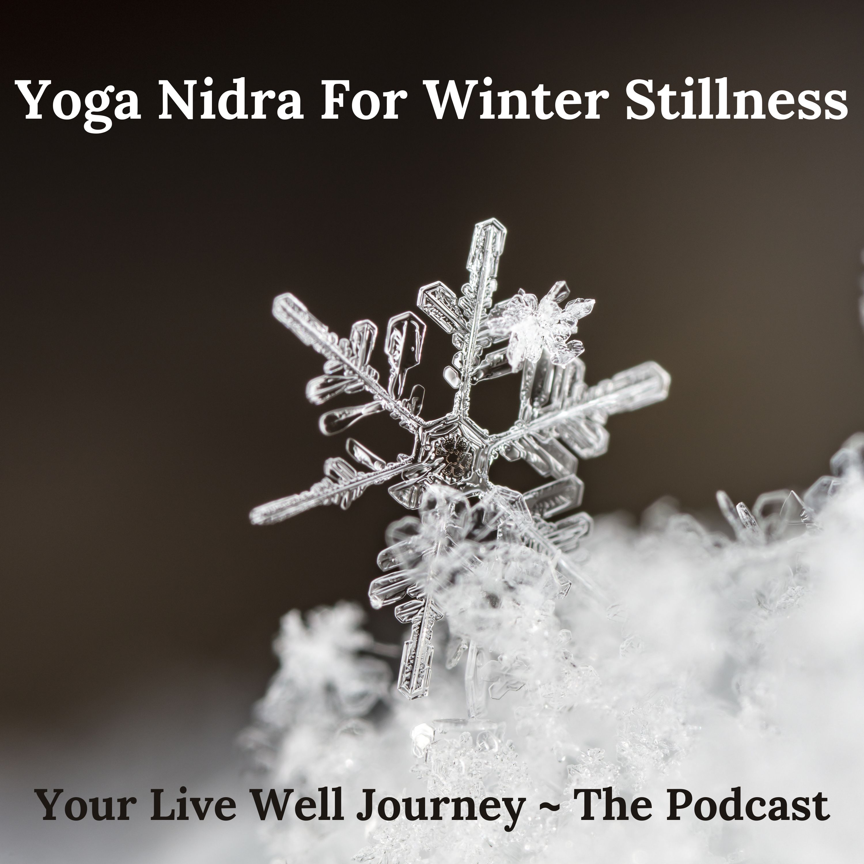 Your Live Well Journey - The Podcast