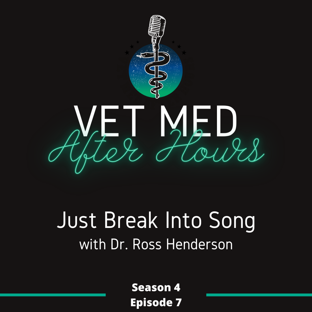 Vet Med After Hours