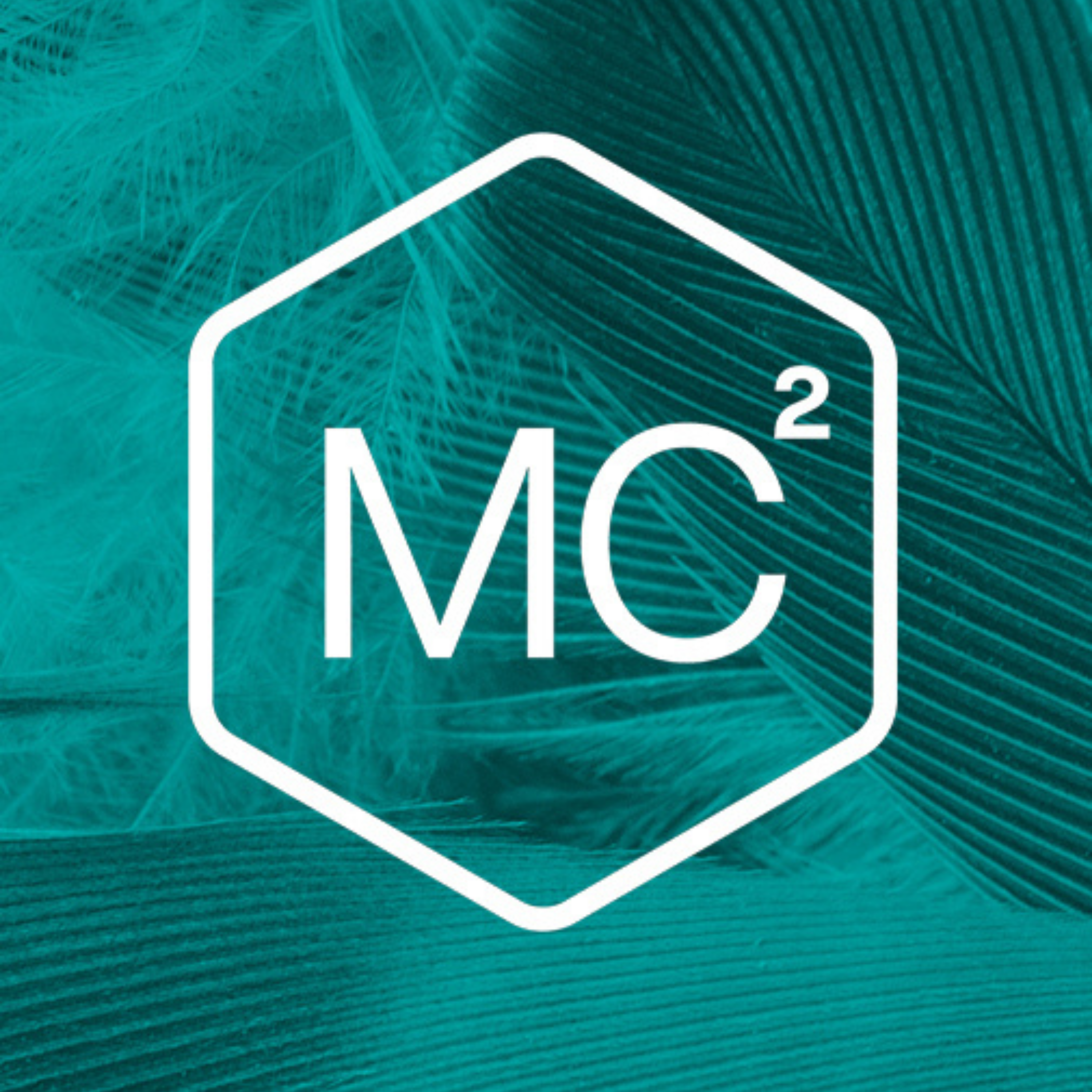 588. A 7-Minute Guided Meditation as the Leaves Fall