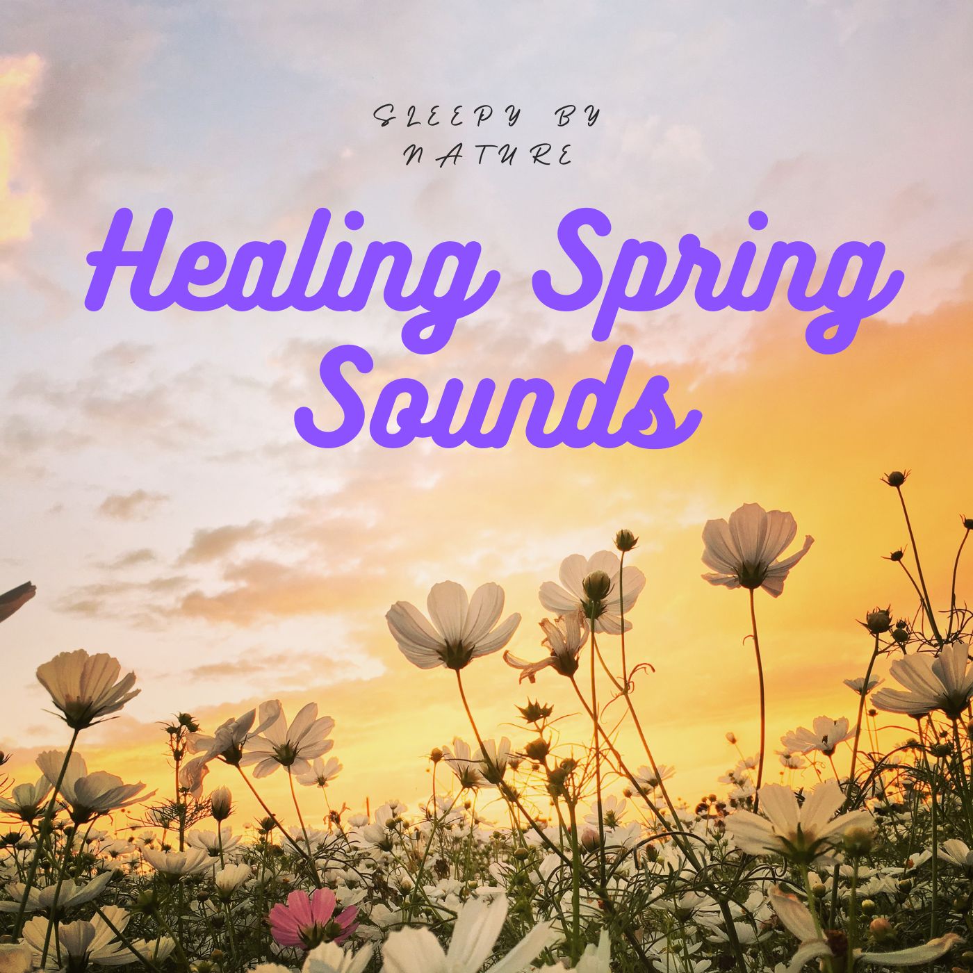 cover of episode 🌿End your Long Day with the Calm of Healing Spring Season Sounds ASMR | Calming Experience Fresh Morning Ambience Ambiance Meditation Peaceful Atmosphere Beauty of Nature Anti Stress Anxiety Deep Sleep 2025