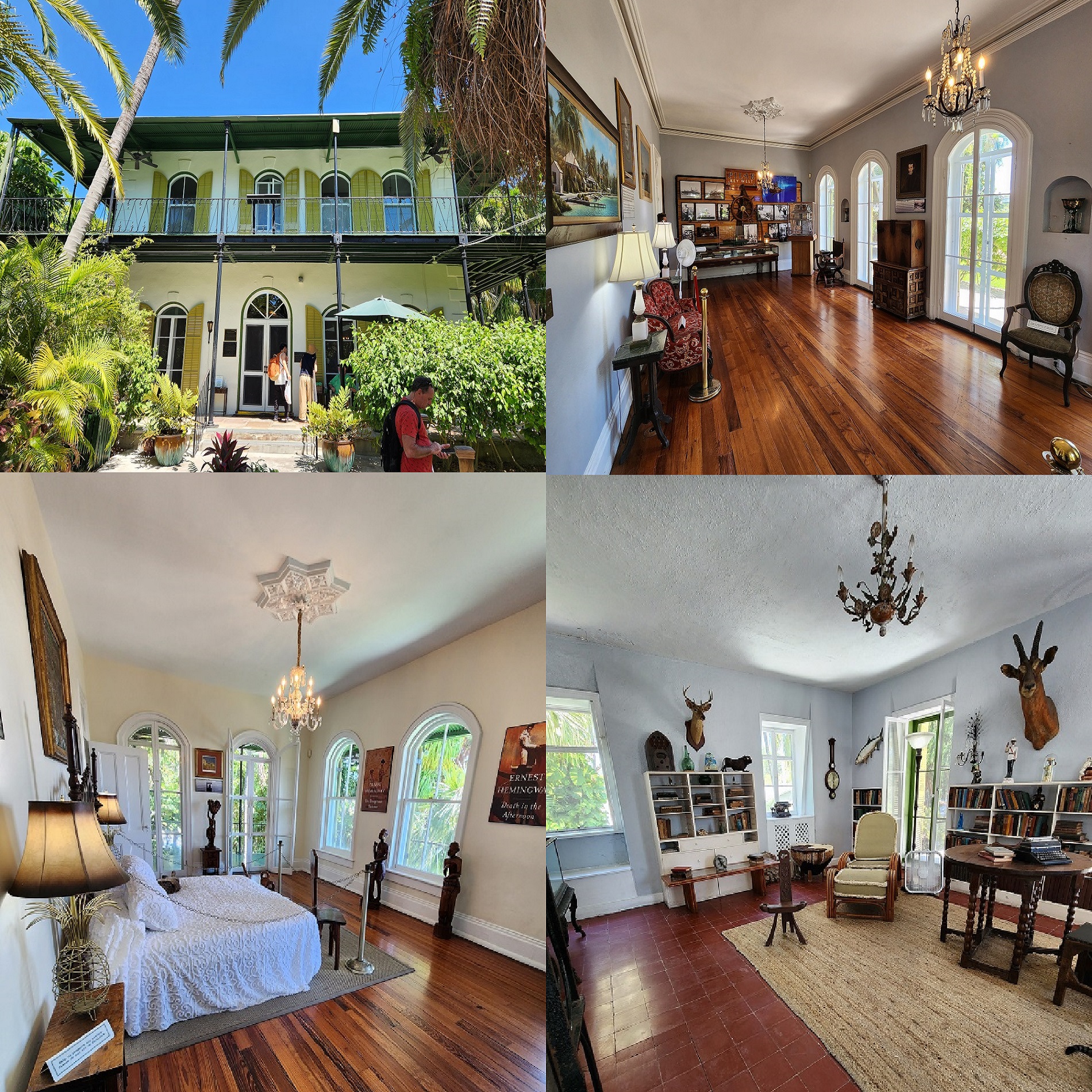 Ep. 480 - Hemingway House