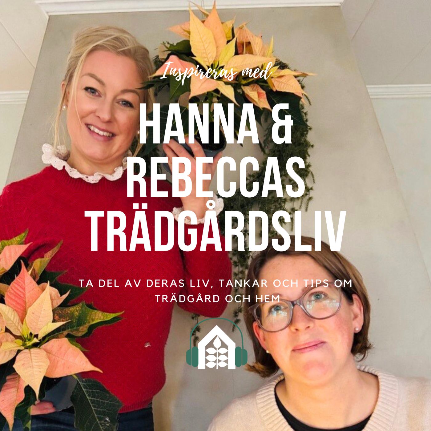 Avsnitt 146 – Julens blommor Avsnitt 146 – Julens blommor