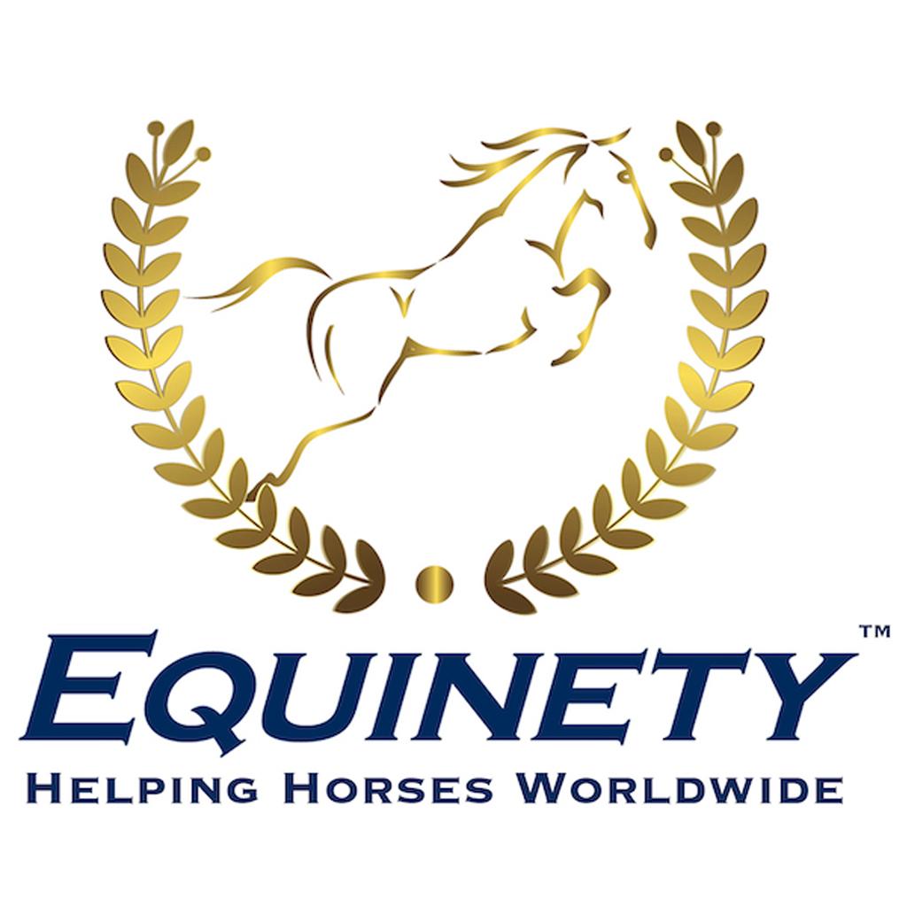 Team Equinety Podcast