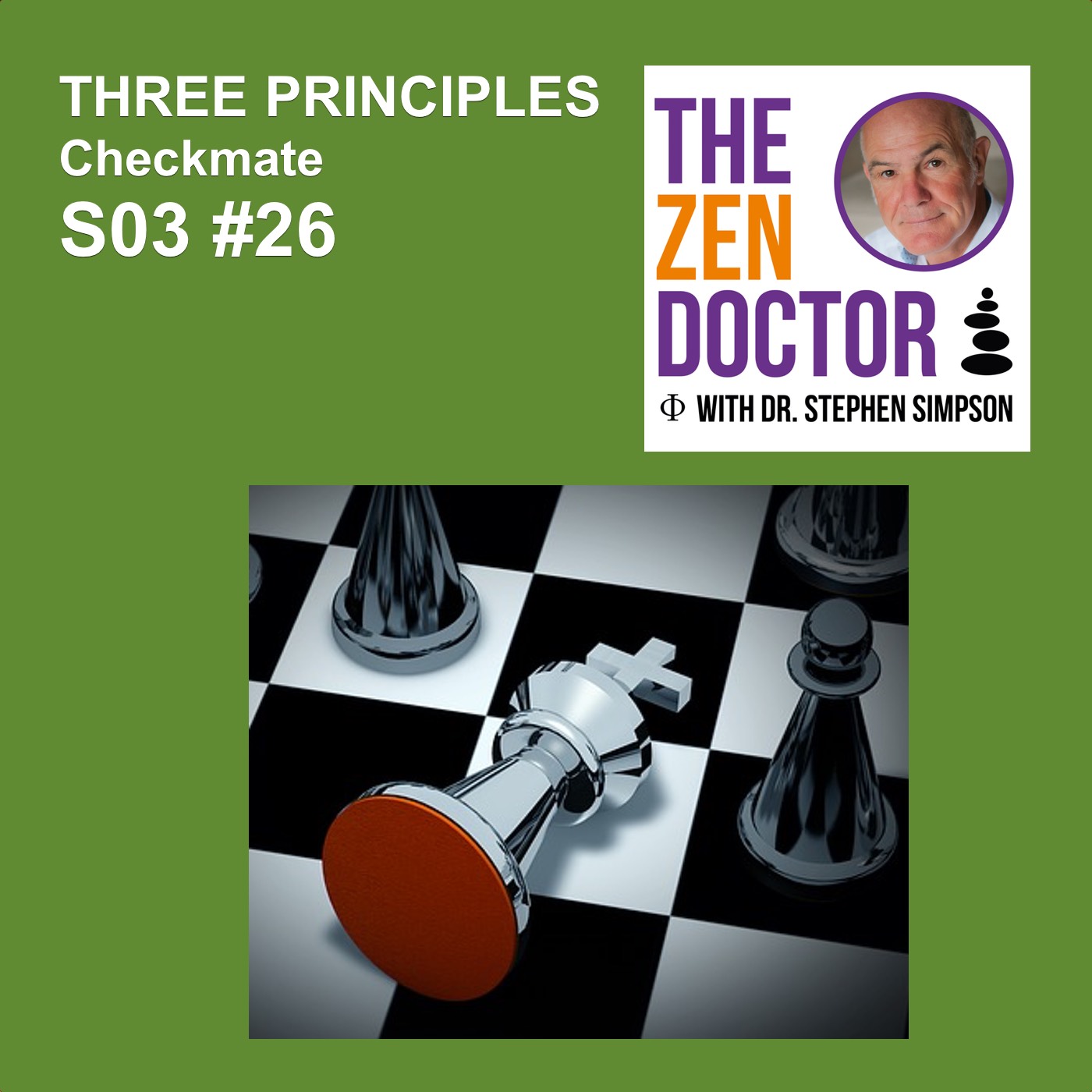 3 PRINCIPLES - Checkmate S03 #26
