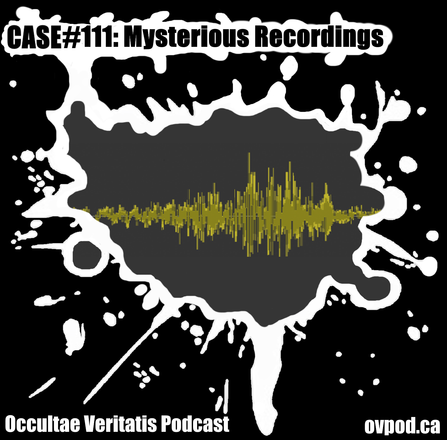 Case #111: Mysterious Recordings