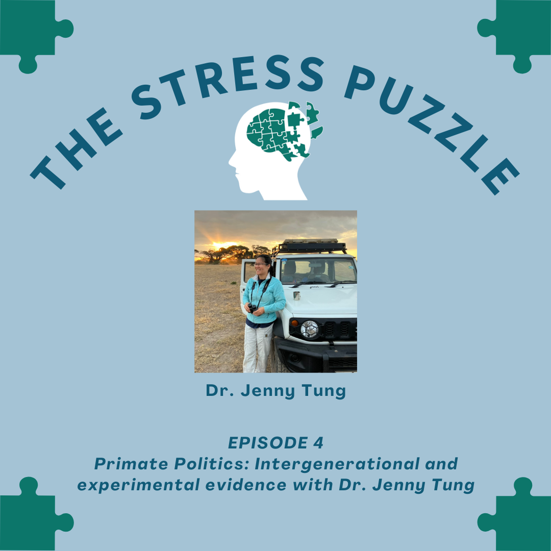 The Stress Puzzle